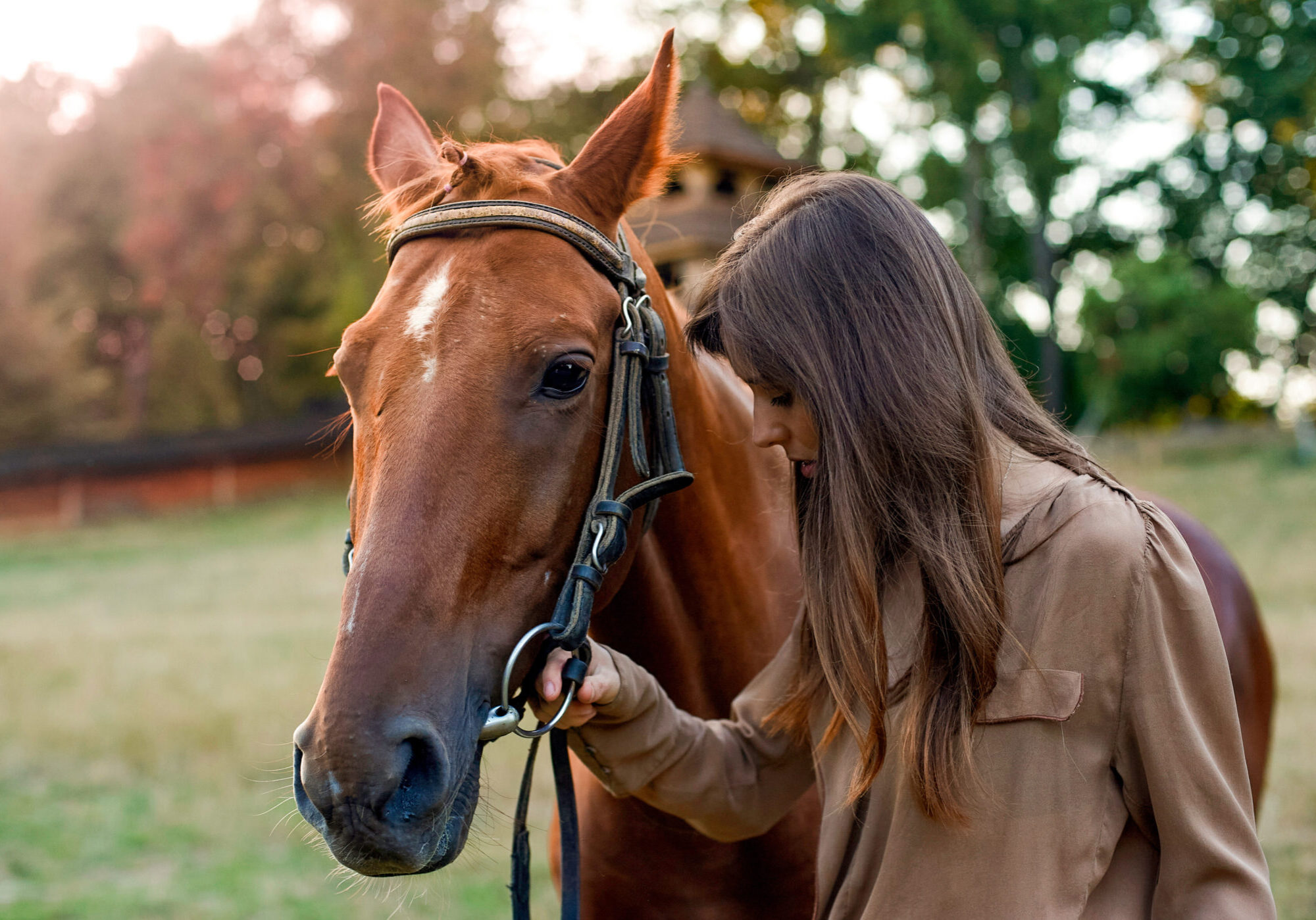 A woman and her horse in rural surroundings, on a grassy field. Portrait of a young equestrian amid nature, training horses, and utilizing a mock outdoor arena. Promote well-being and stress relief.